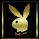 bunnie.gif